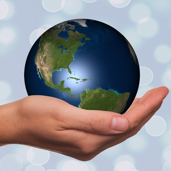 Meet your Posher, Manuel - Picture 1 of 1